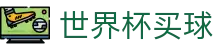 世界杯买球平台 · 手机端即时操作 · 在线买球官方网